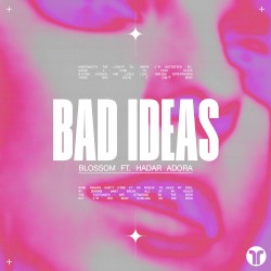Bad Ideas