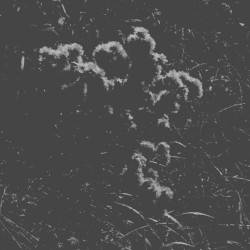 Fragments of a Season