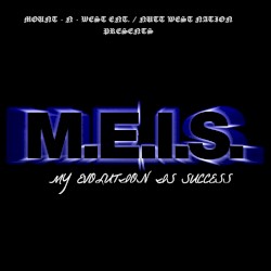 M.E.I.S.