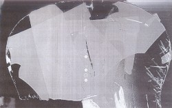 Eating or Not and Leaving by Force / A Tribute to Antoine Boute's Les Morts Rigolos