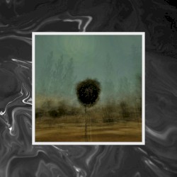 Dreaming in Another Language