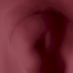 El Hombre de la Caverna