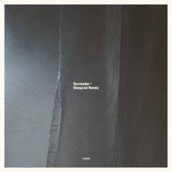Surrender (Sleepnet remix)