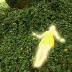 君のいない世界でまた一日が過ぎた