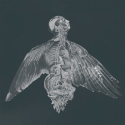 Til Vinden I Dine Øjne