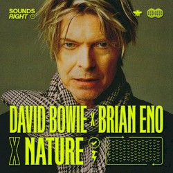 Get Real (Sounds Right mix)