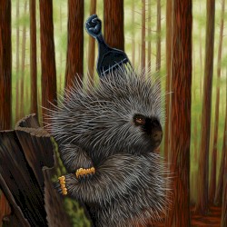 Medicine Show No. 11: Low Budget High Fi Music