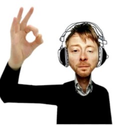 JUNGEL JUNGEL SAMPLE PACK