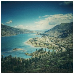 Sigue la línea morada