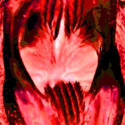 Passageways to Daena (The Concomitant Blessings of Putrescing Impurity)