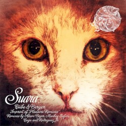 Imprint Of Pleasure Remixes