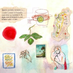 AGUA E’ PANELA (cule_nota)