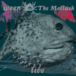 The Mollusk - Live