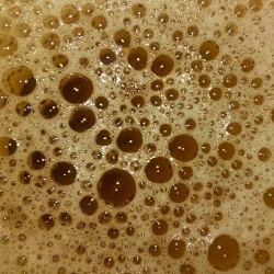 Soundtrack for This Insignificant Existence