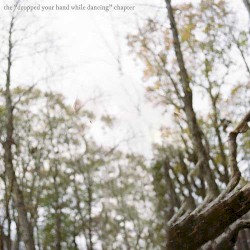 the “dropped your hand while dancing” chapter