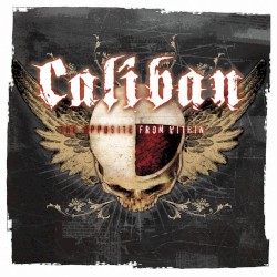 The Opposite From Within