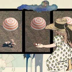 手のひらサイズの愛情とフルスイングの暴力