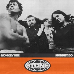 MONKEY SEE MONKEY DO