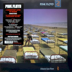 A Momentary Lapse of Reason