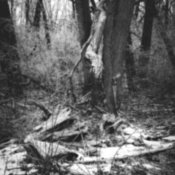 It is Not a Good Justification if You Want to Do Something Because You Have No Other Choice