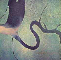 The Serpent’s Egg