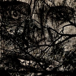 Jackie (Sewerslvt remake)