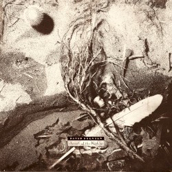 Secrets of the Beehive