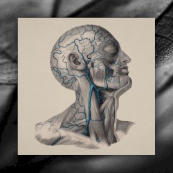 Система отсчёта