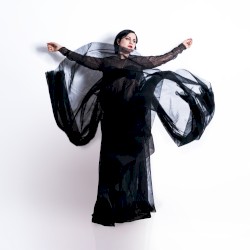 Everywhere We Looked Was Burning (live)