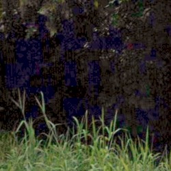 lazy two am flip ( actually made at 2am for the authentic swag )