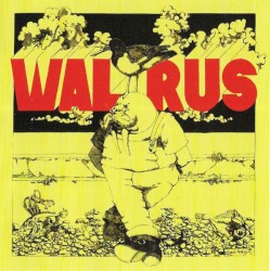 Walrus