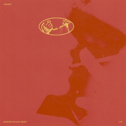 Ashtray (Sachi of Joy Again Remix)