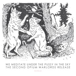 We Meditate Under the Pussy in the Sky