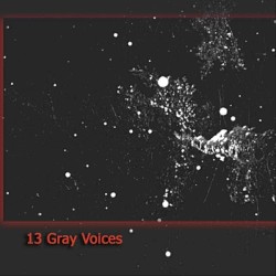 13 Gray Voices