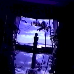 024: 海洋生物
