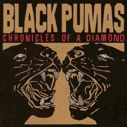 Chronicles of a Diamond