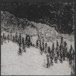 In the Heart of the Rainforest