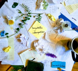 bagatelles intempestives