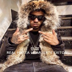 Real hasta la muerte: Éxitos