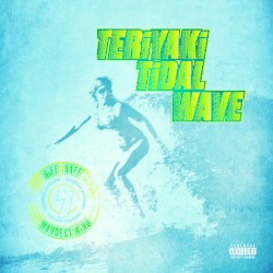 Teriyaki Tidal Wave