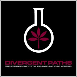 Divergent Paths (Volume Seven)