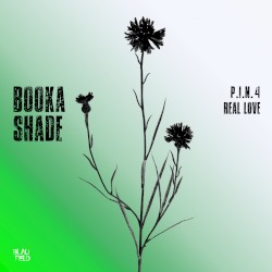 P.I.N. 4 / Real Love