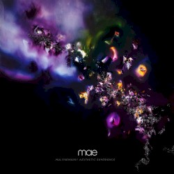 Multisensory Aesthetic Experience