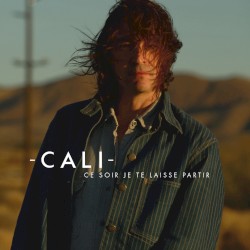 Ce soir je te laisse partir (radio edit)