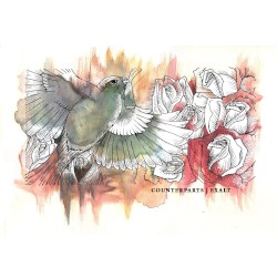 Counterparts / Exalt Split
