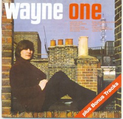 Wayne One