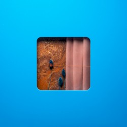 Victim of a Modern Age