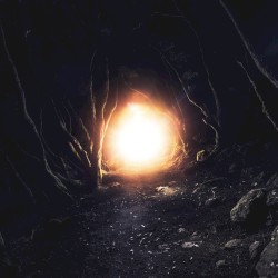 Never Take a Rose From a Beast