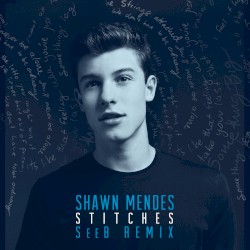 Stitches (Seeb Remix)