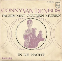 Paleis met gouden muren / In de nacht